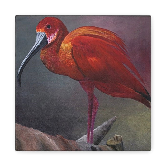 An acrylic painting - The Scarlet Ibis - Matte Canvas Art - Stretched 12"x12" Wall Decor