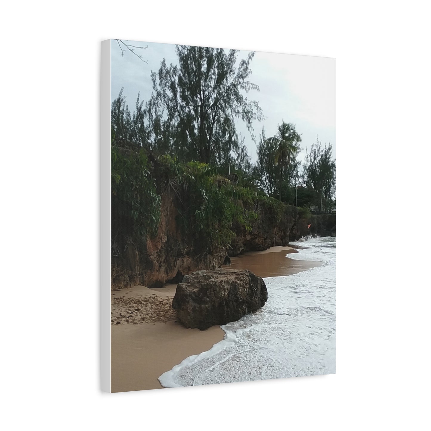 Beach Landscape Canvas Art - Stretched Matte Wall Decor