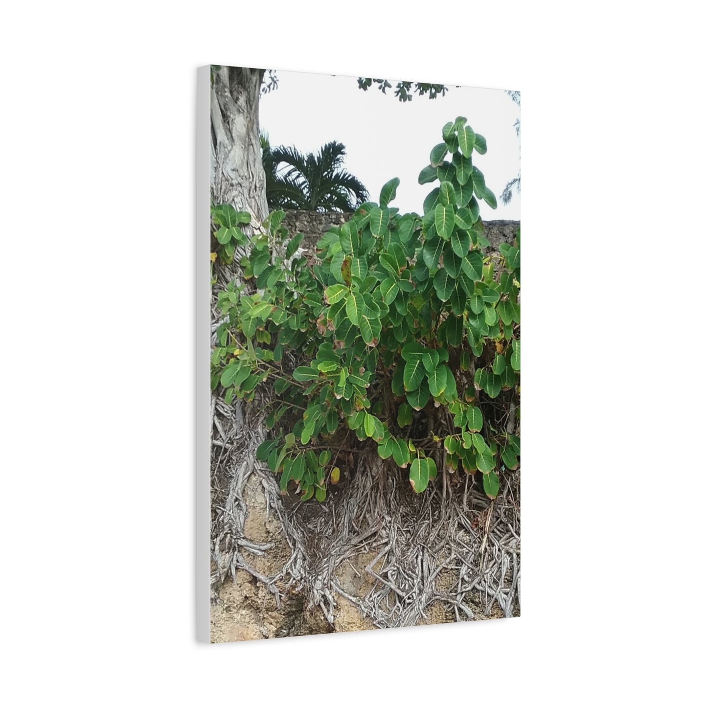 Nature-Themed Stretched Canvas Art Print
