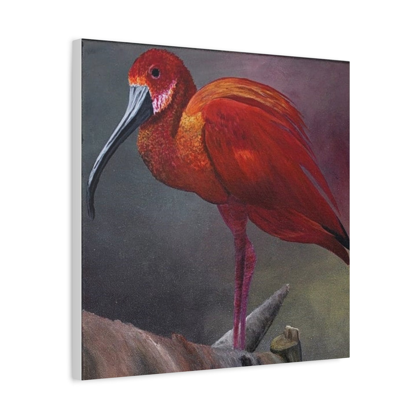 An acrylic painting - The Scarlet Ibis - Matte Canvas Art - Stretched 12"x12" Wall Decor