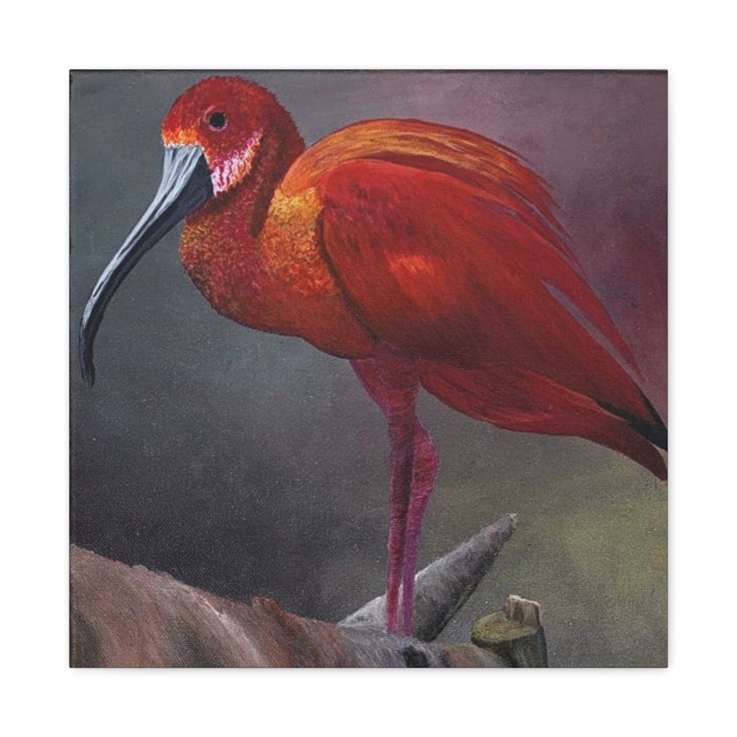 An acrylic painting - The Scarlet Ibis - Matte Canvas Art - Stretched 12"x12" Wall Decor