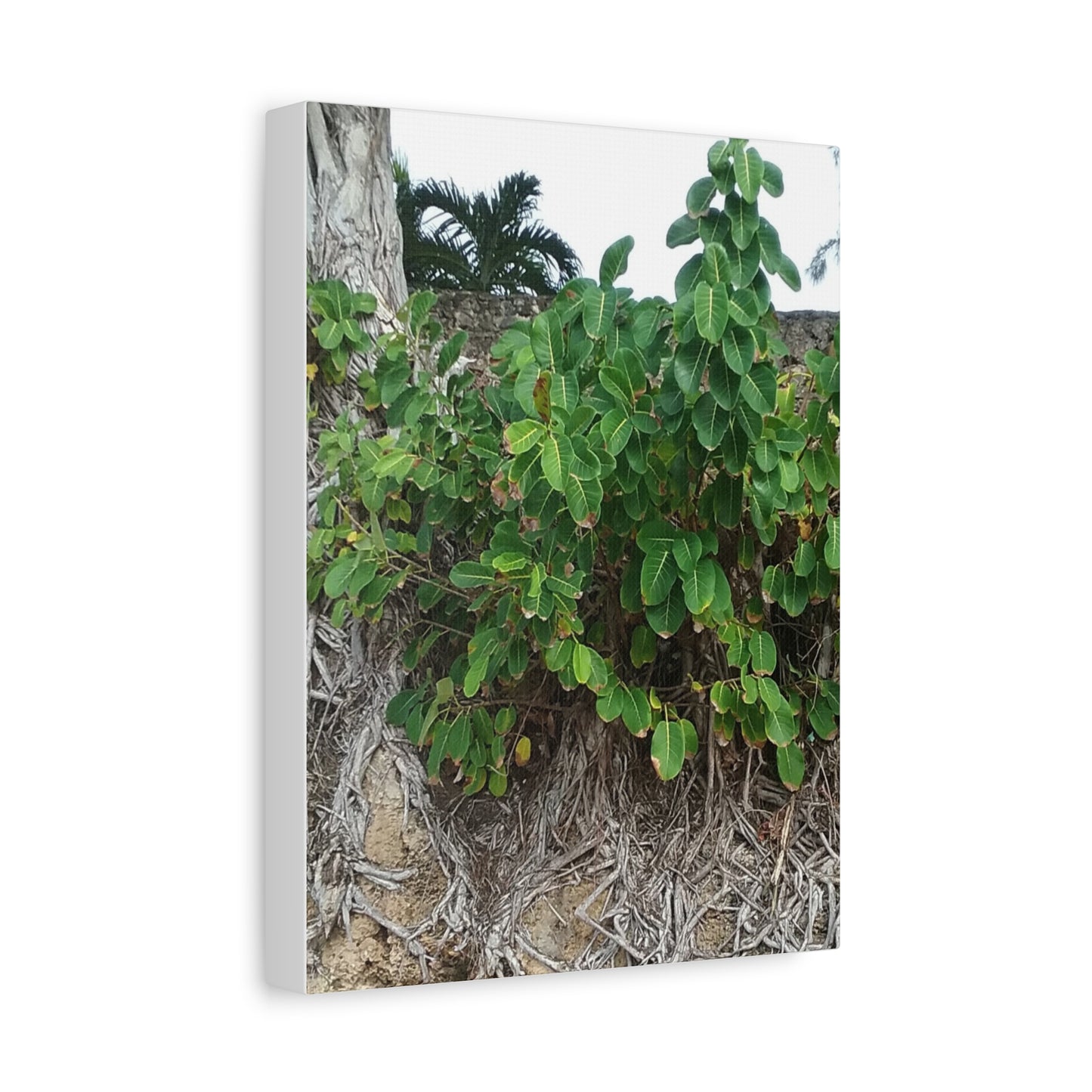 Nature-Themed Stretched Canvas Art Print