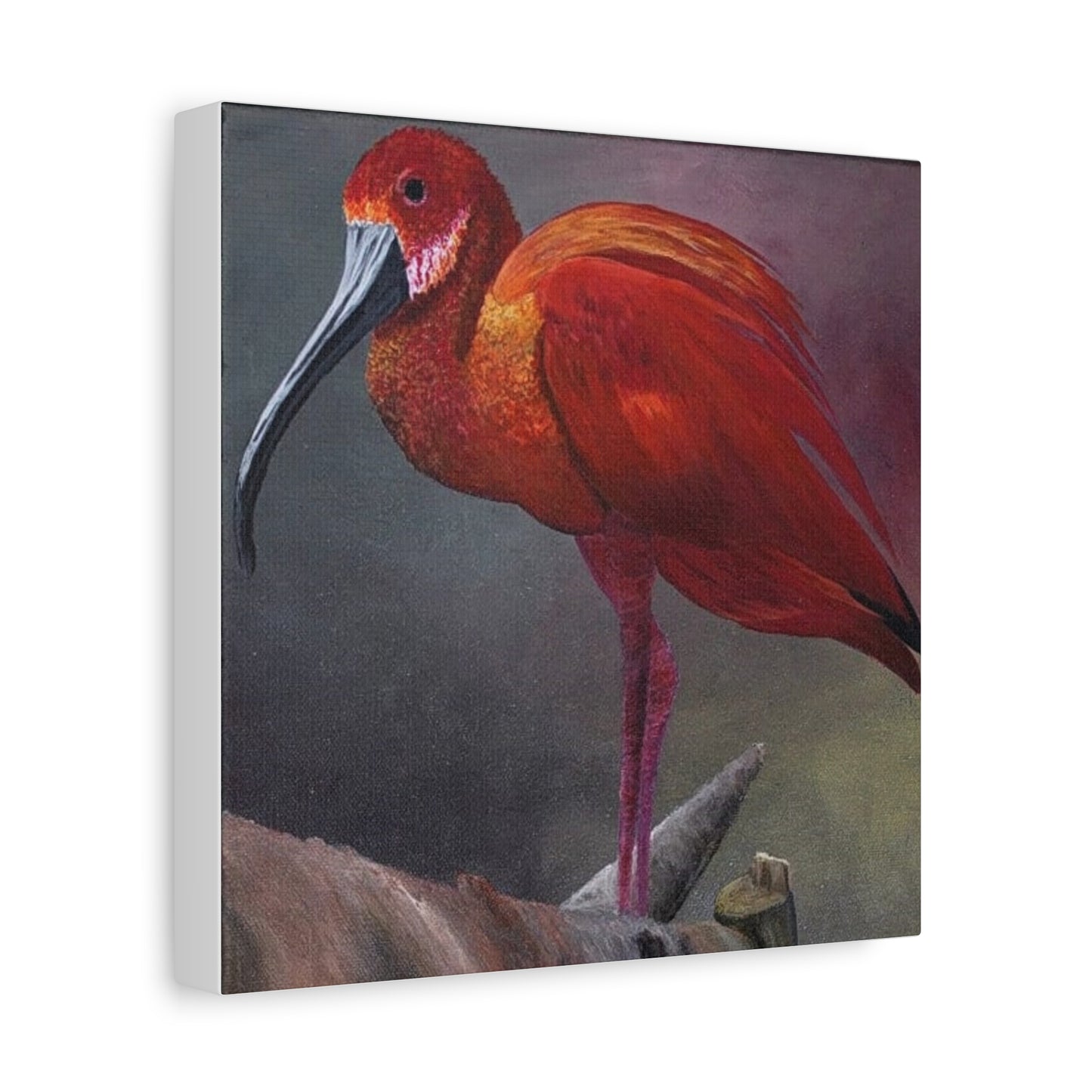 An acrylic painting - The Scarlet Ibis - Matte Canvas Art - Stretched 12"x12" Wall Decor