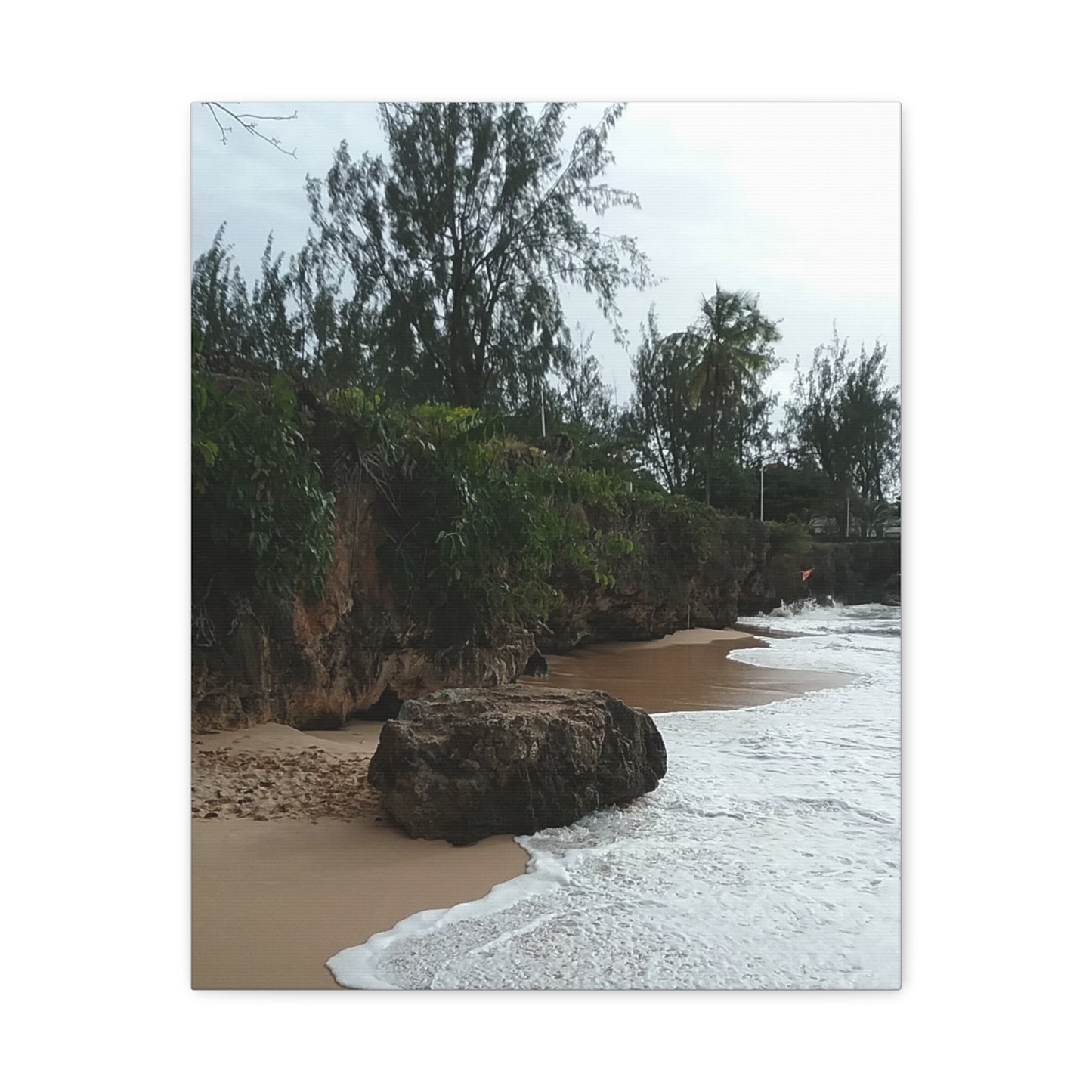Beach Landscape Canvas Art - Stretched Matte Wall Decor