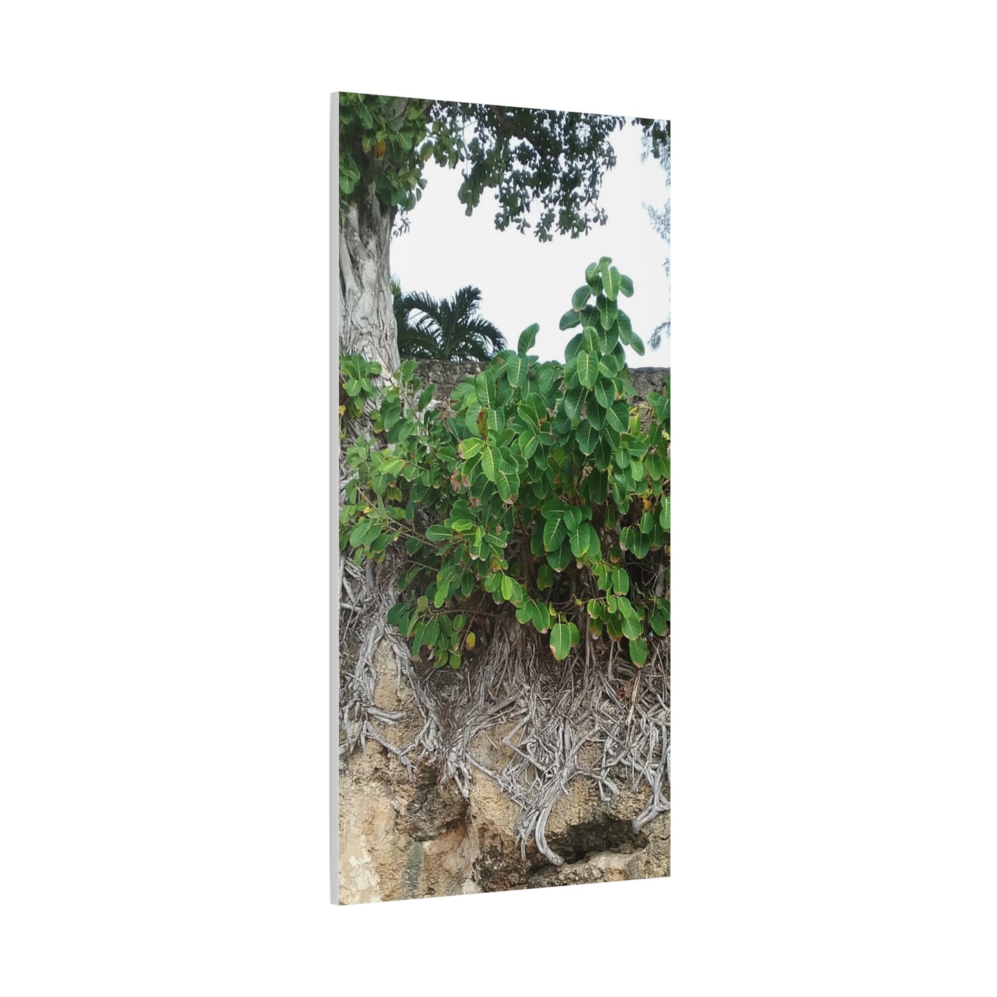 Nature-Themed Stretched Canvas Art Print