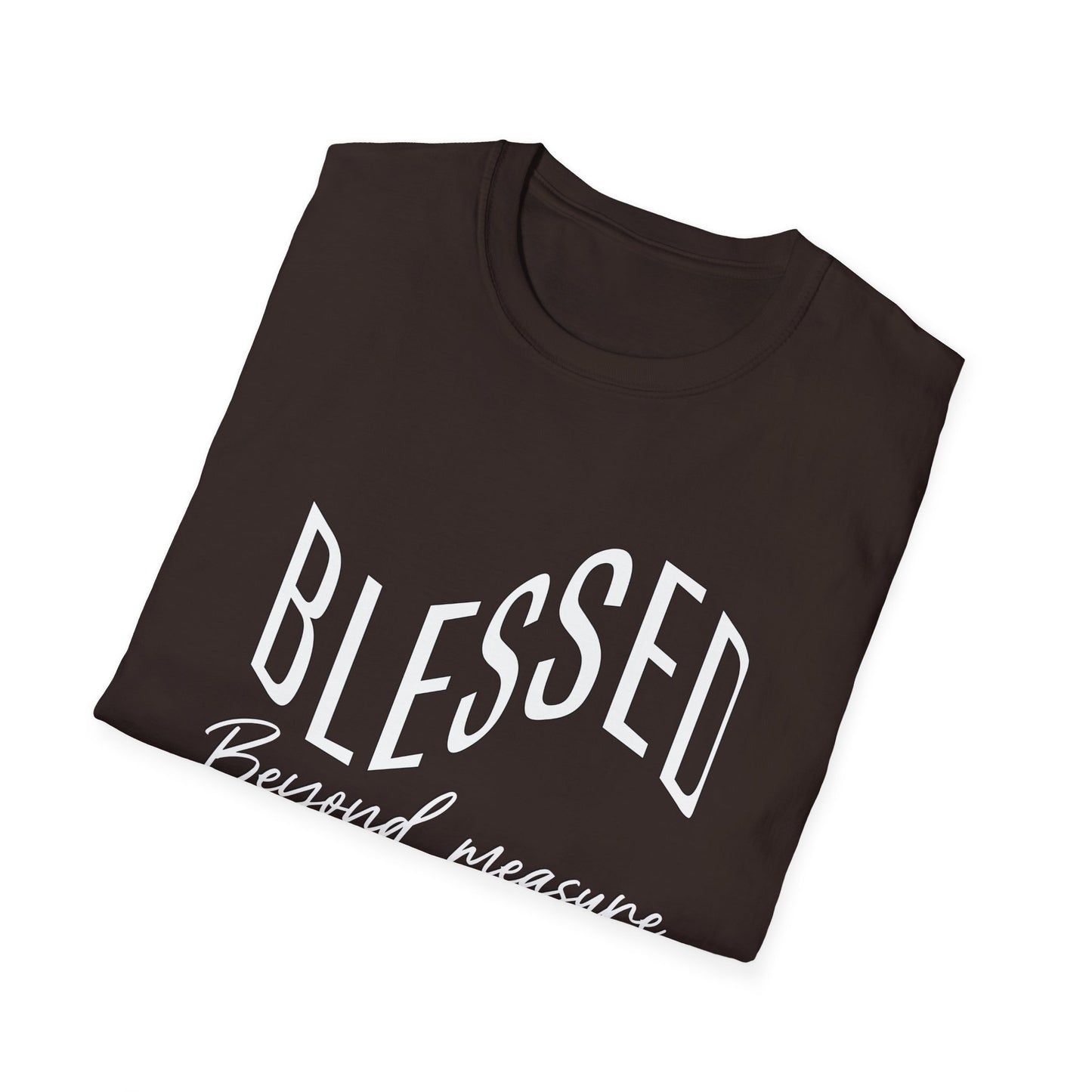 BLESSED Beyond Measure Inspirational Tee can be a gift for self or someone special.
