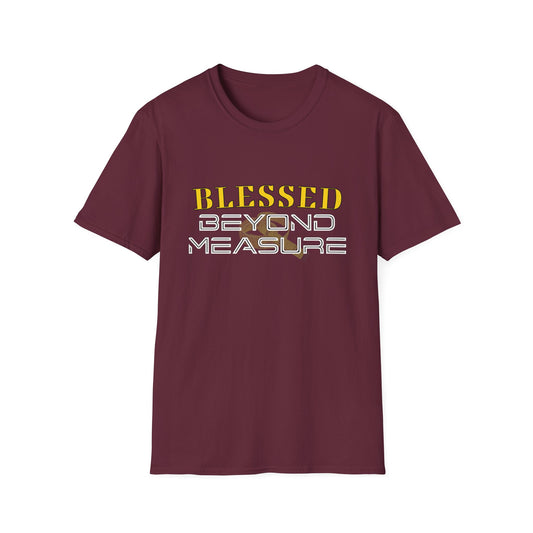 Blessed Beyone Measure Inspirational Tee can be a gift for self or someone special.