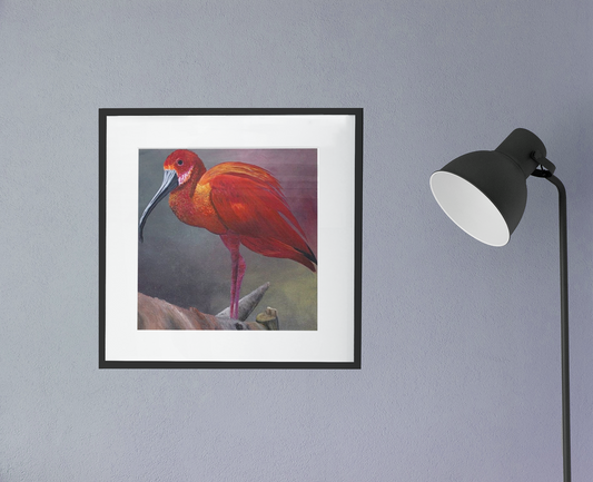 An acrylic painting - The Scarlet Ibis - Matte Canvas Art - Stretched 12"x12" Wall Decor