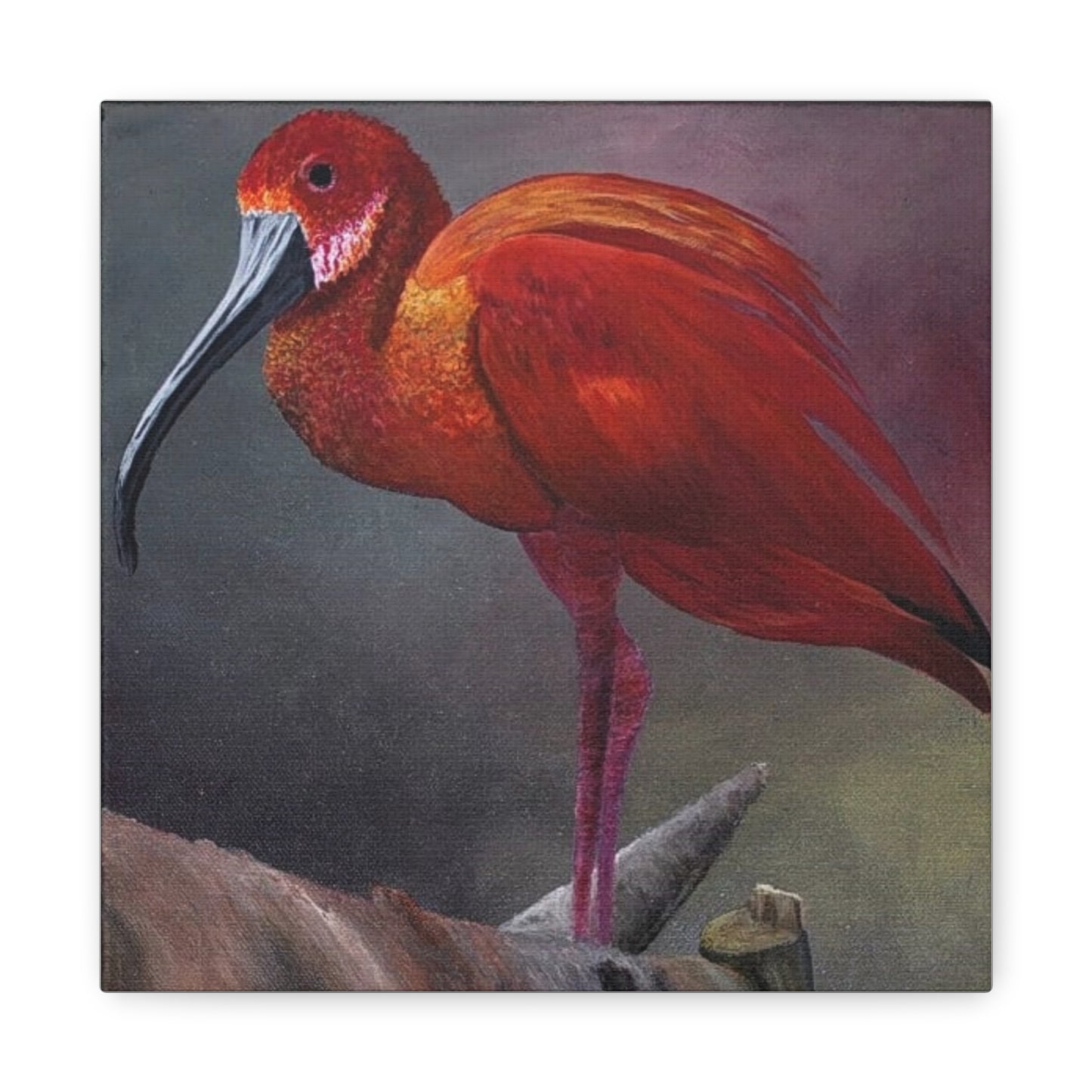 An acrylic painting - The Scarlet Ibis - Matte Canvas Art - Stretched 12"x12" Wall Decor