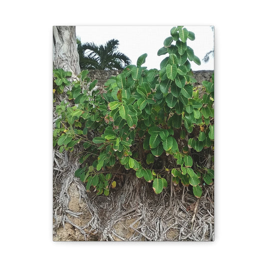 Nature-Themed Stretched Canvas Art Print