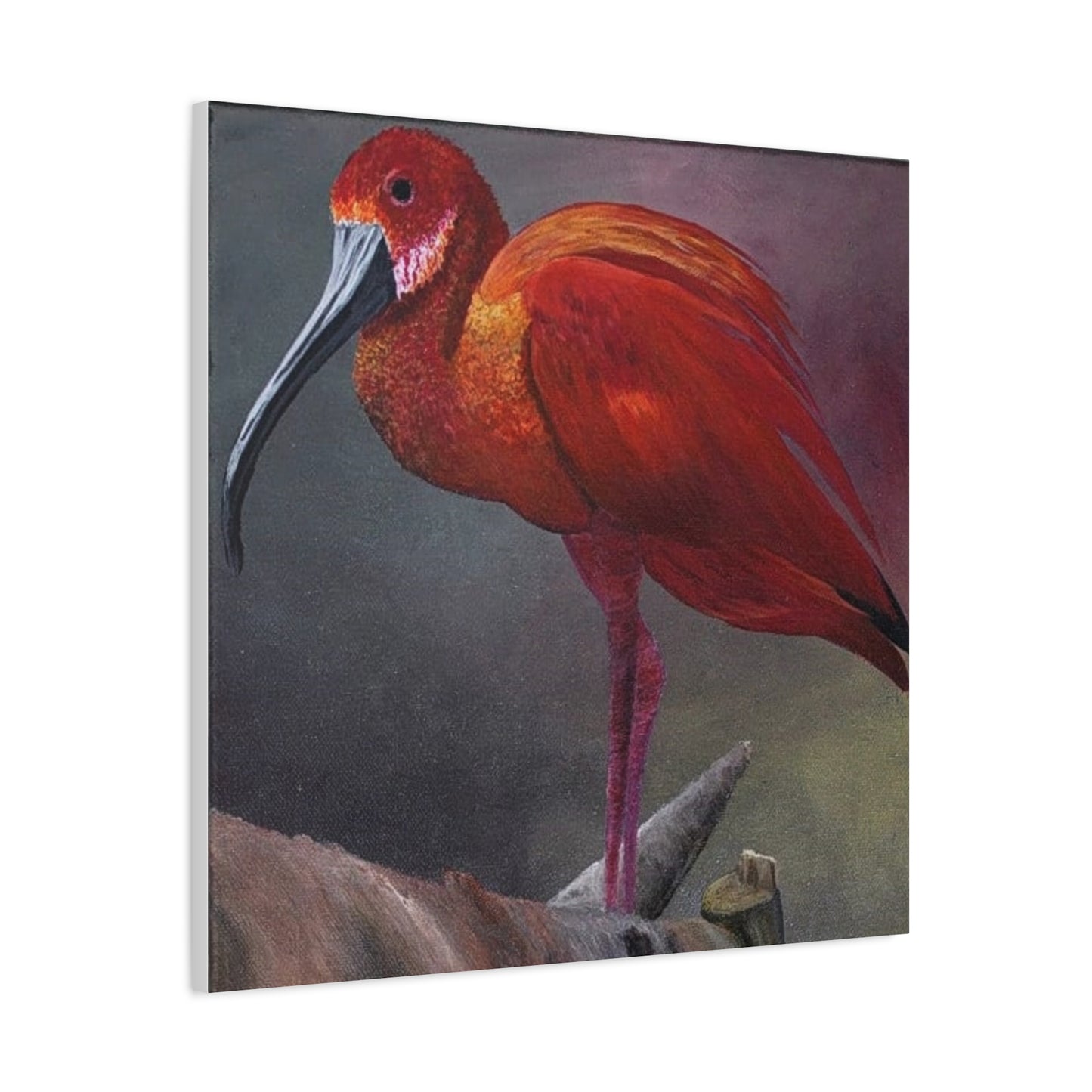 An acrylic painting - The Scarlet Ibis - Matte Canvas Art - Stretched 12"x12" Wall Decor