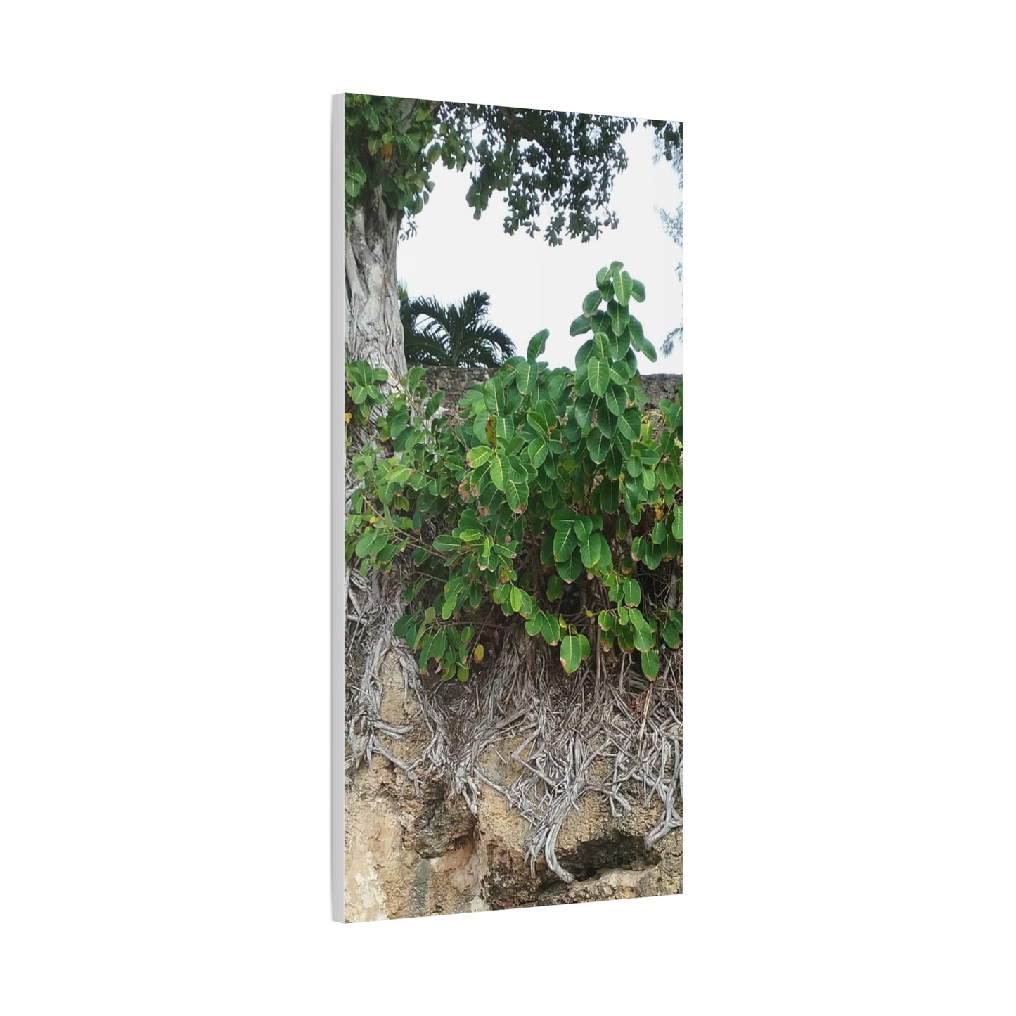 Nature-Themed Stretched Canvas Art Print