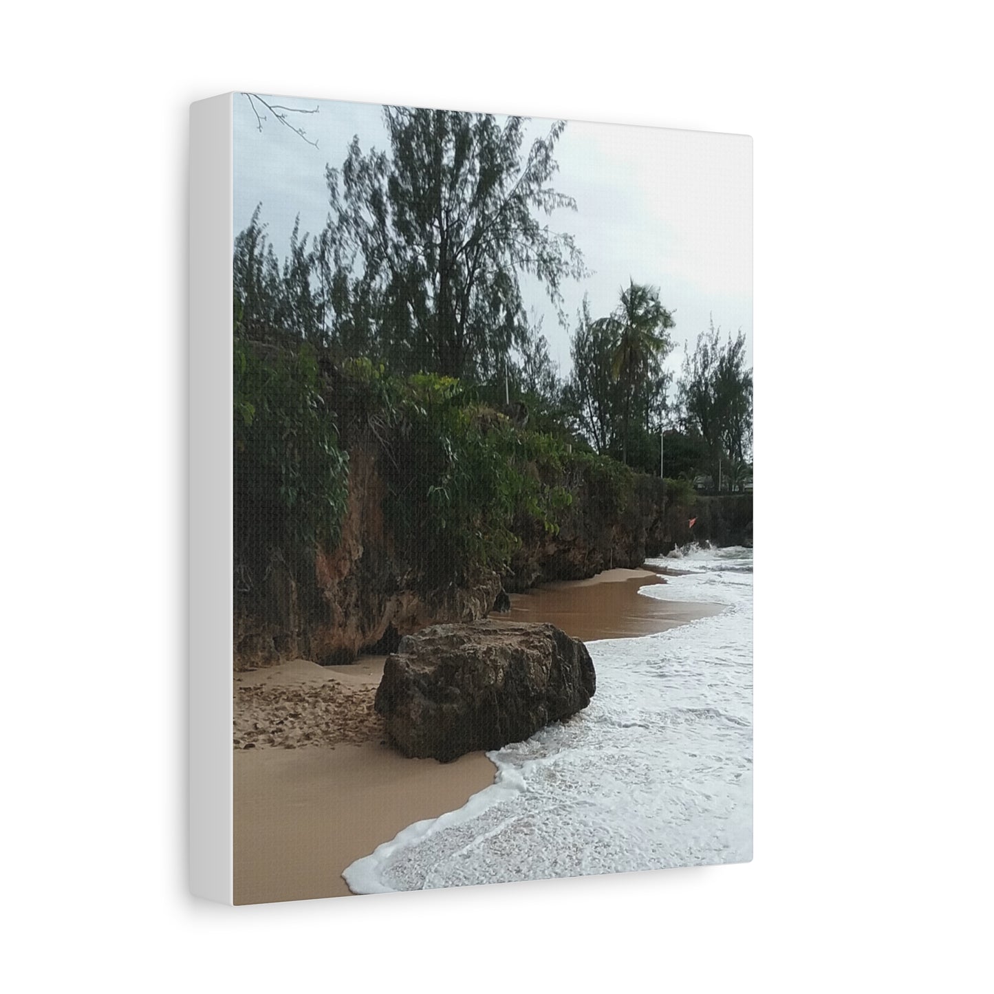 Beach Landscape Canvas Art - Stretched Matte Wall Decor