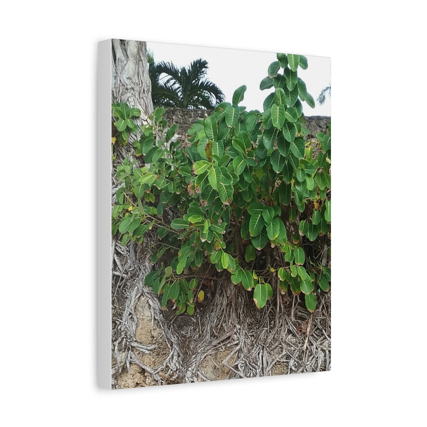 Nature-Themed Stretched Canvas Art Print