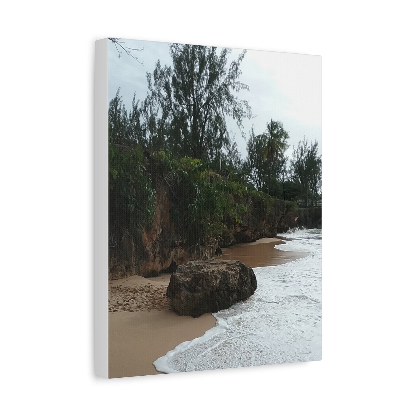 Beach Landscape Canvas Art - Stretched Matte Wall Decor