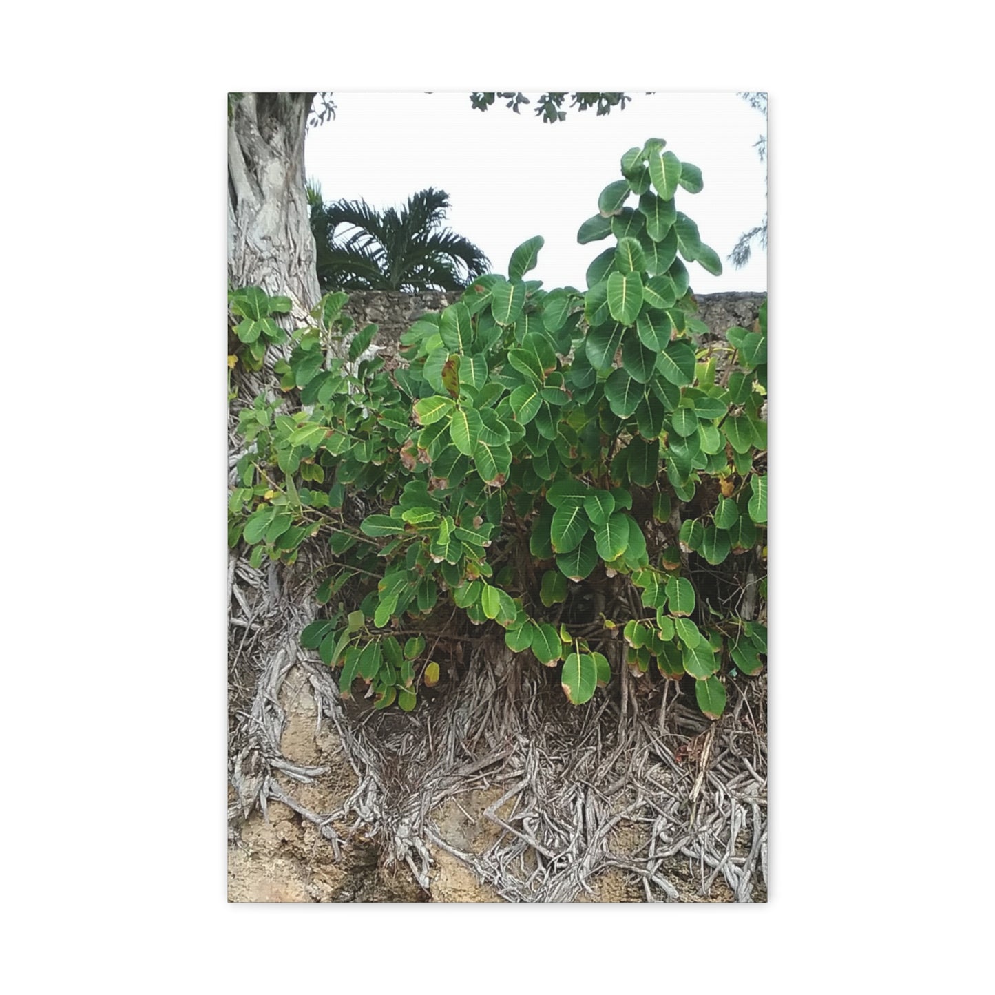 Nature-Themed Stretched Canvas Art Print